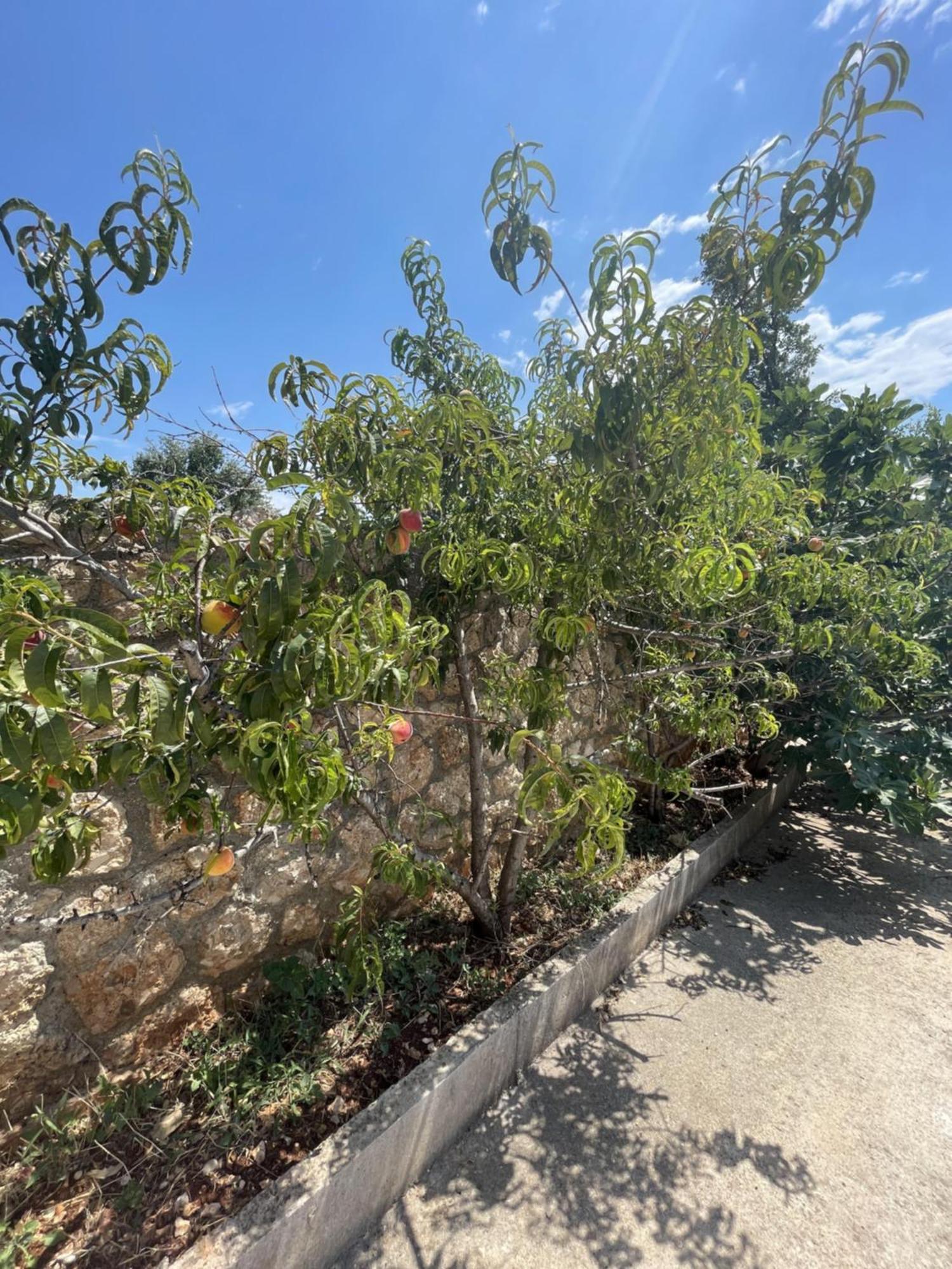 Olympian Rooms Dhermi Ngoại thất bức ảnh